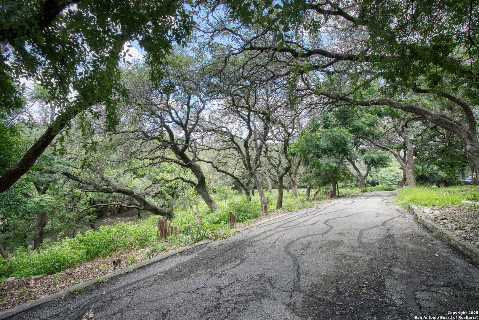 5351 Fredericksburg Road San Antonio, TX 78229 - Photo 39 of 50 a view of a road with a yard