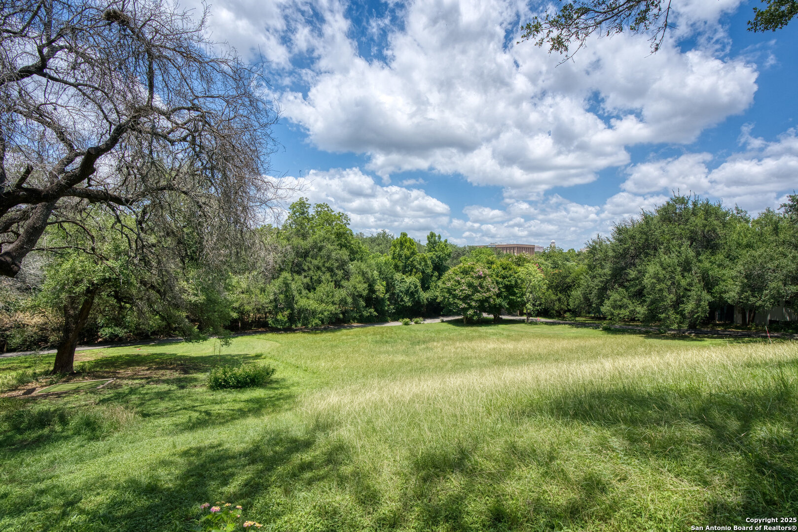 5351 Fredericksburg Road San Antonio, TX 78229 - Photo 42 of 50 a view of outdoor space with green field and trees