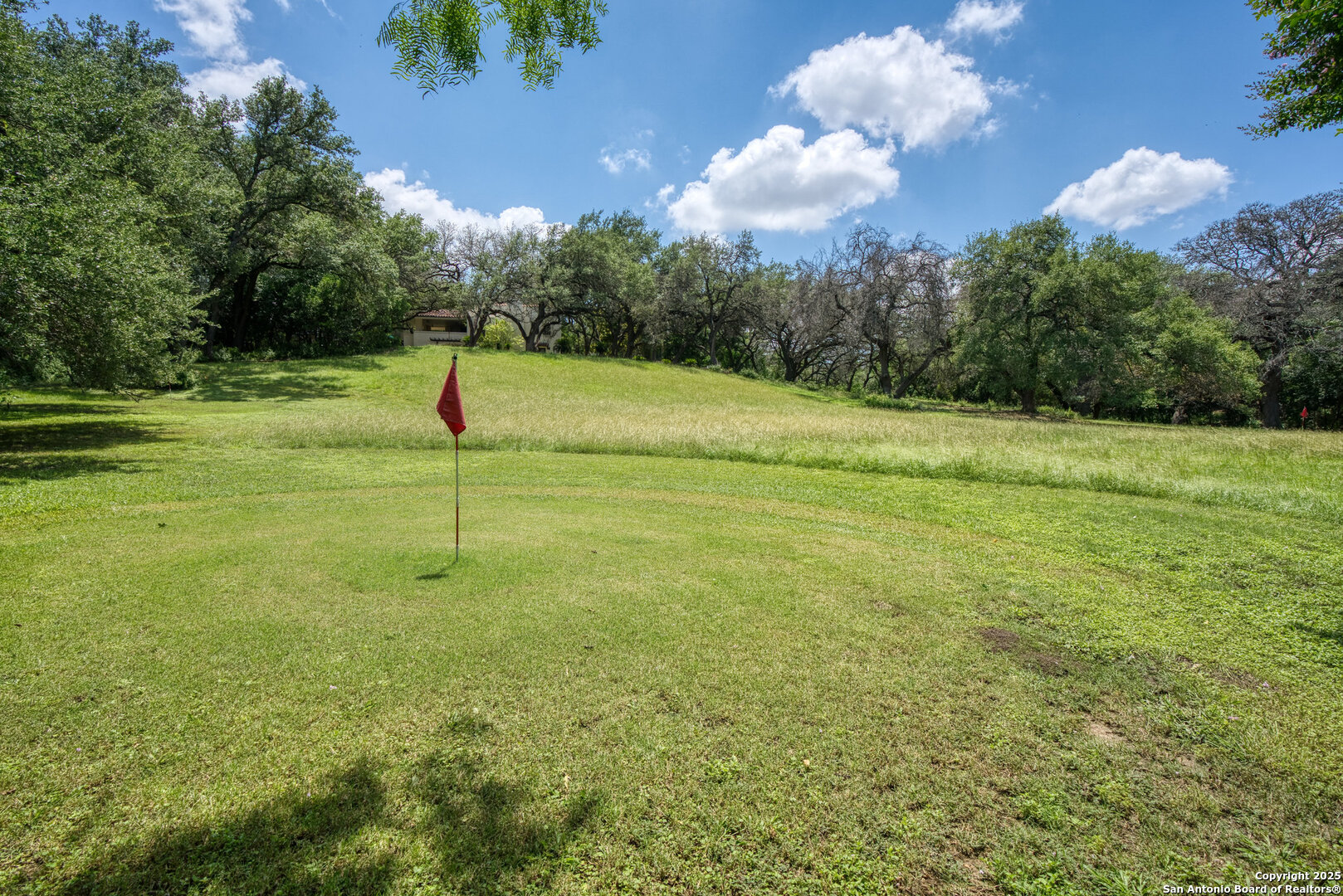 5351 Fredericksburg Road San Antonio, TX 78229 - Photo 44 of 50 a view of a big yard