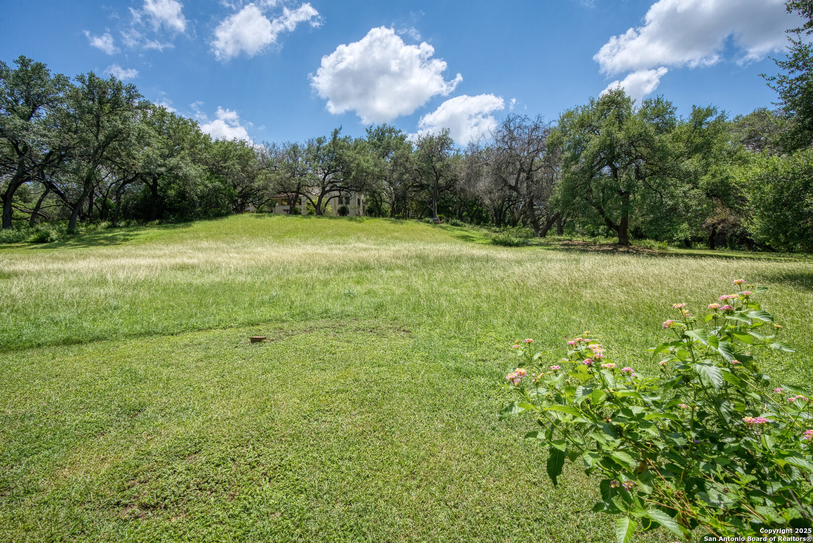 5351 Fredericksburg Road San Antonio, TX 78229 - Photo 45 of 50 a view of an outdoor space and a yard