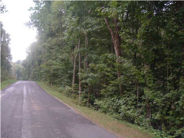 1 Willis Spring Road Benton, TN 37307 - Photo 3 of 3 Additional Photo