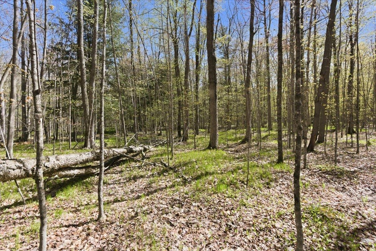W585 Strucker Road Ogema, WI 54459 - Photo 17 of 55