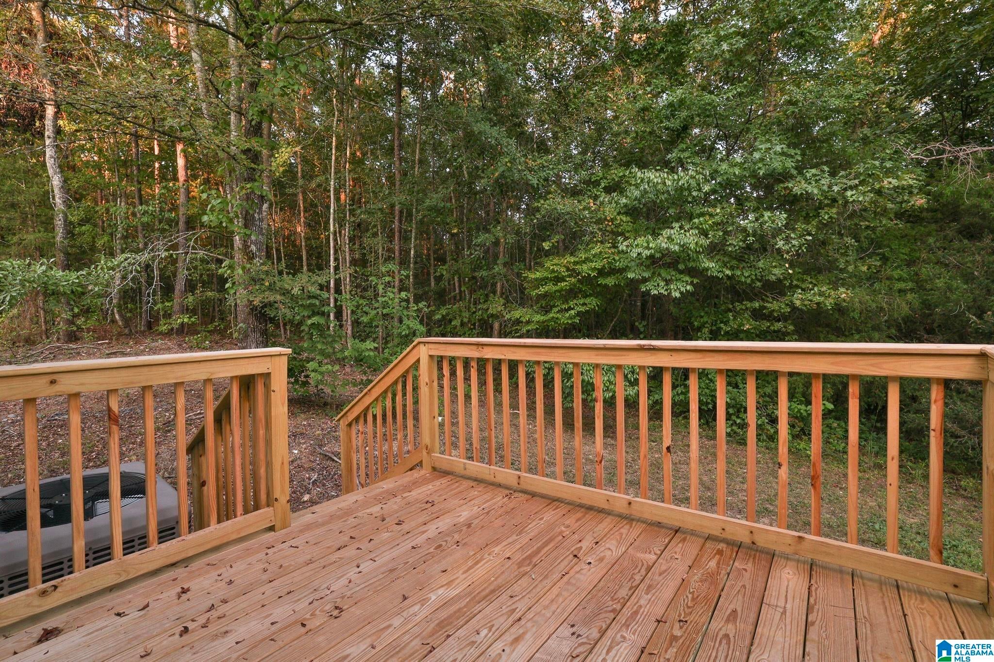 1344 Denas Cove Road Ragland, AL 35131 - Photo 33 of 44 Gallery Image 33