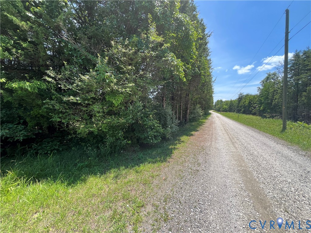 28 Aspen Grove Road Farmville, VA 23901 - Photo 5 of 6 Gravel road entrance bordered by mature trees and