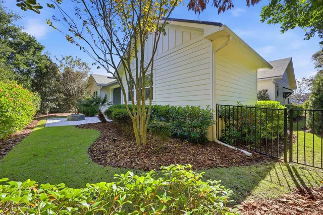 a view of a forest with a tree