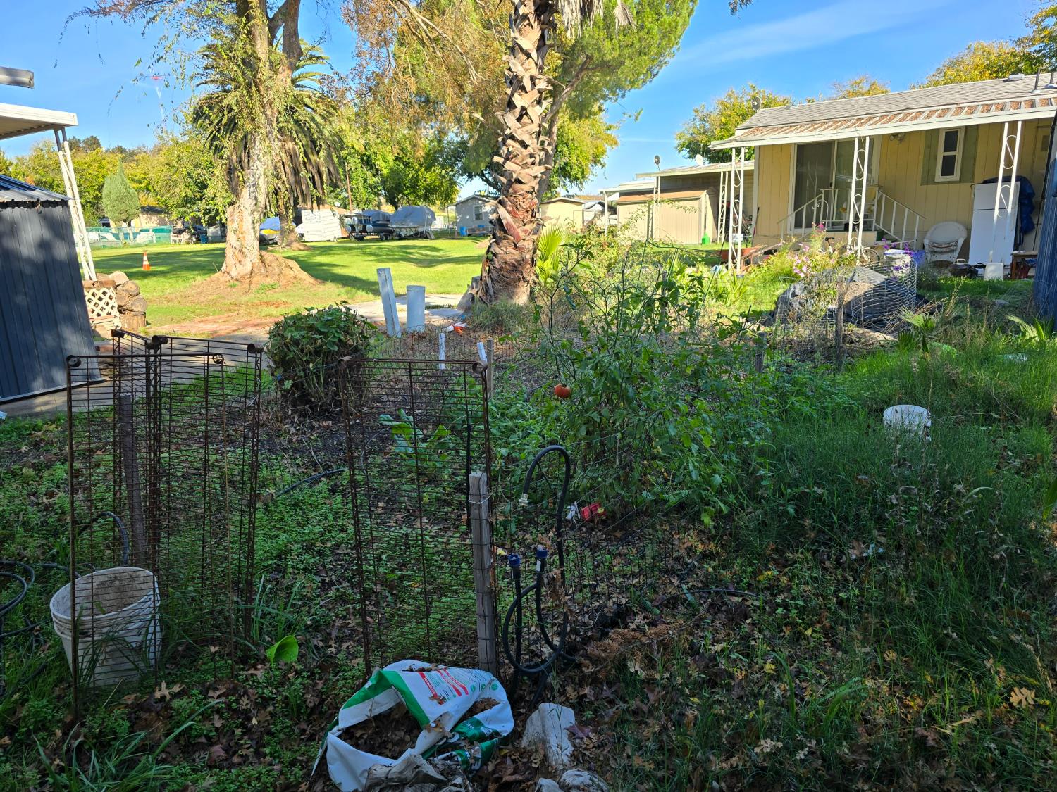 13955 West Walnut Grove Road, Unit 26 Walnut Grove, CA 95690 - Photo 20 of 29 a view of a house with a backyard and swimming pool