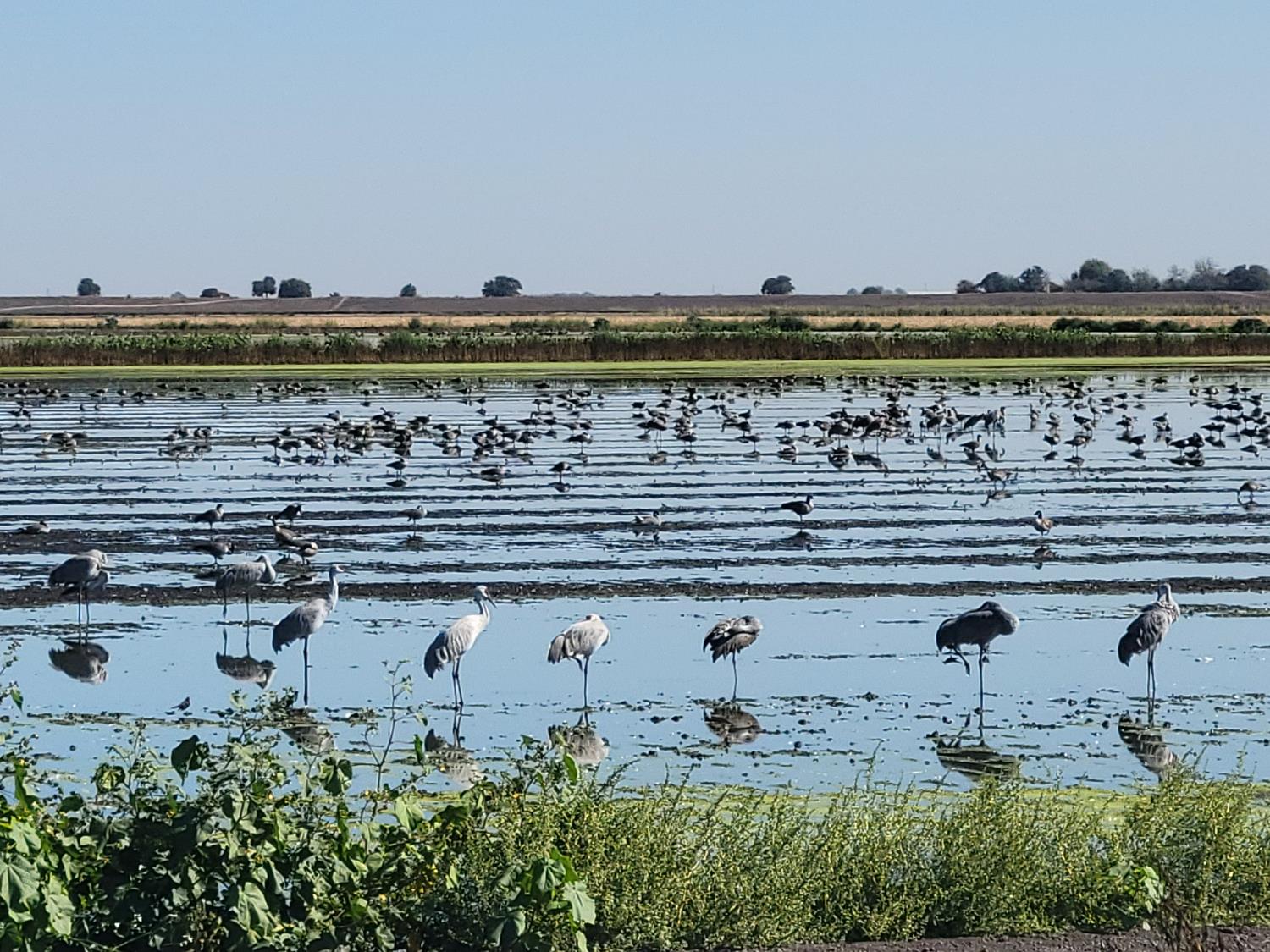 13955 West Walnut Grove Road, Unit 26 Walnut Grove, CA 95690 - Photo 27 of 29 a view of a lake with a city