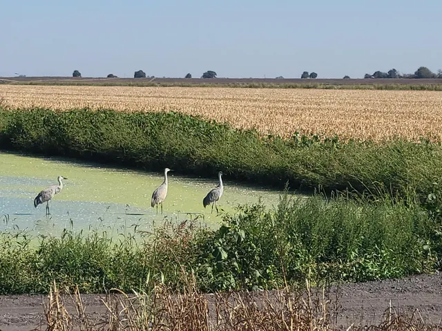 a view of a house with a patio
