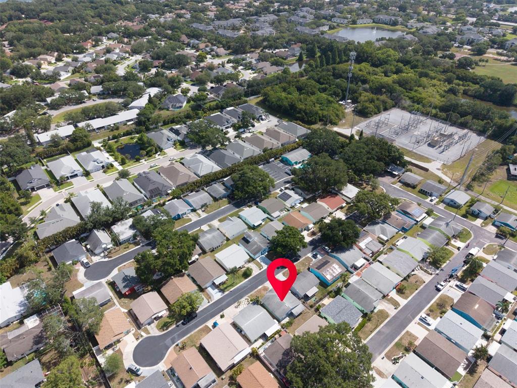 1009 Crane Court Dunedin, FL 34698 - Photo 57 of 63
