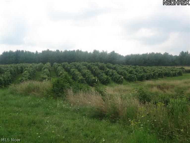 5631 Ledge Road Madison, OH 44057 - Photo 15 of 25 view of back 3rd vineyard and some open fields surrounding it,