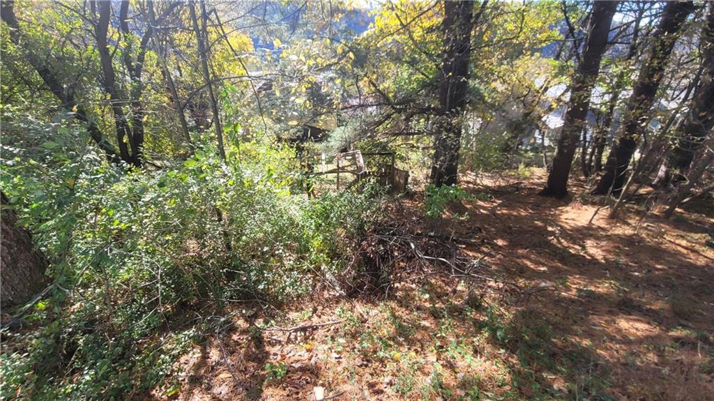 178 Washington Street Freeport, PA 16229 - Photo 17 of 17 a view of a tree in a yard