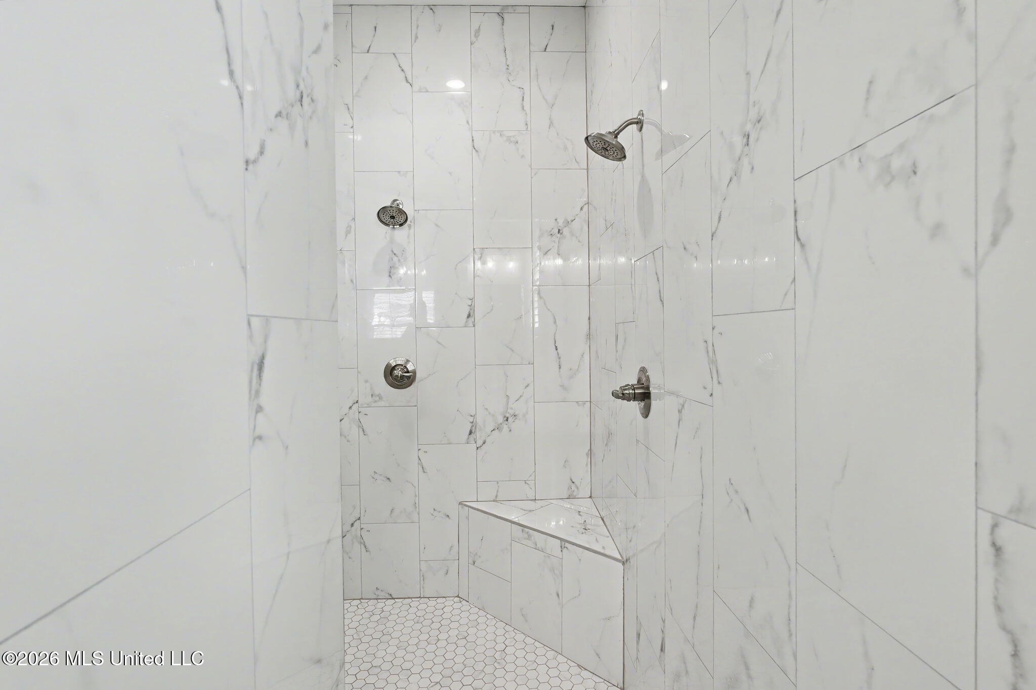 3847 Swan Cove Hernando, MS 38632 - Photo 28 of 50 Walk-through Shower