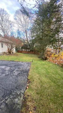 a view of a field with large trees