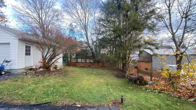 a view of a yard with a house and a large tree