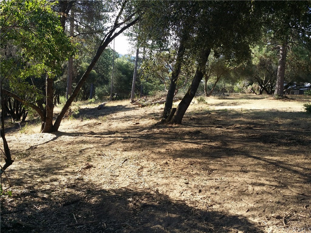 0 Quail Ridge Road Oakhurst, CA 93644 - Photo 1 of 1 Gallery Image 1