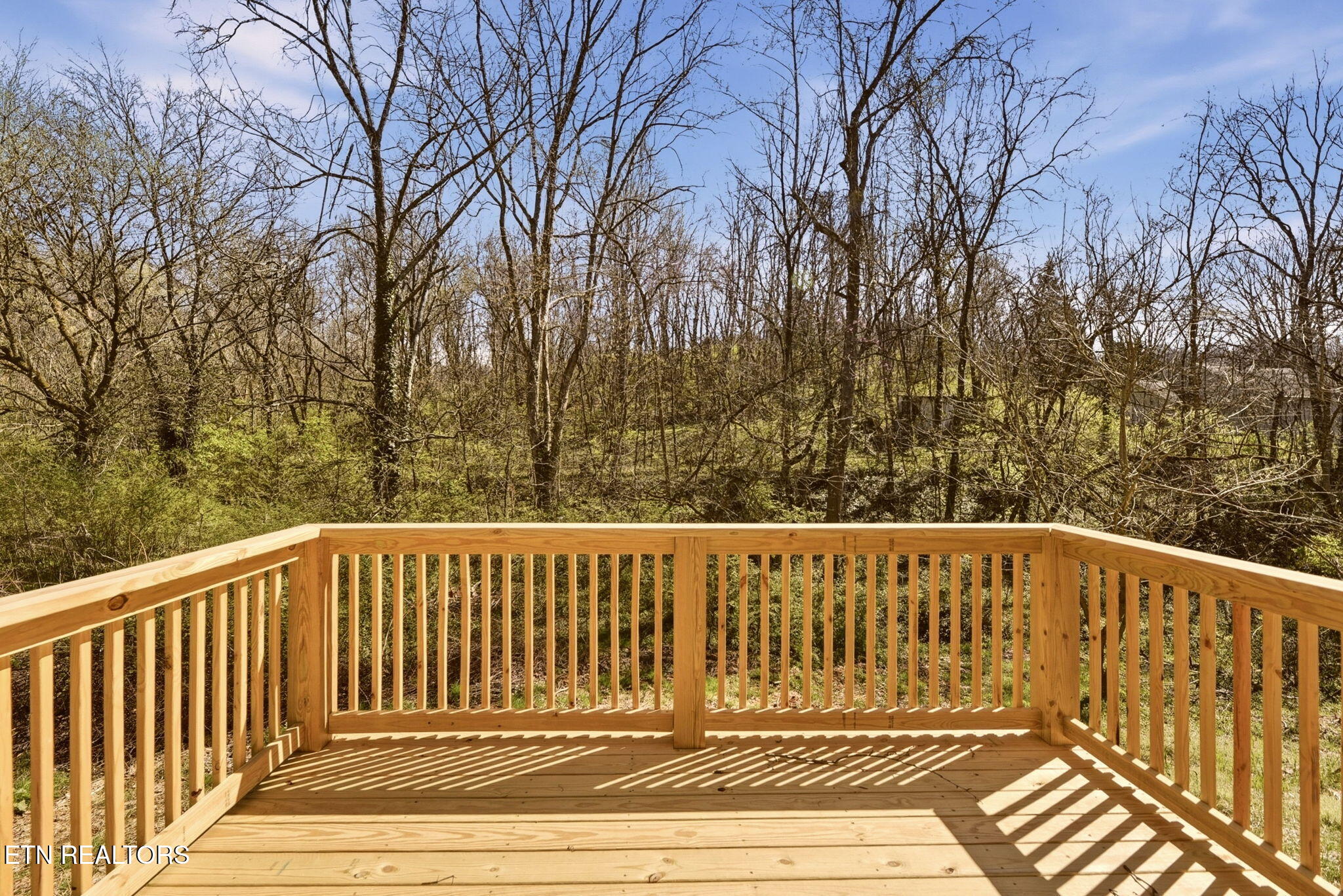 1516 Smallman Road Knoxville, TN 37920 - Photo 30 of 34 31-web-or-mls-Smllmn1516 (83)