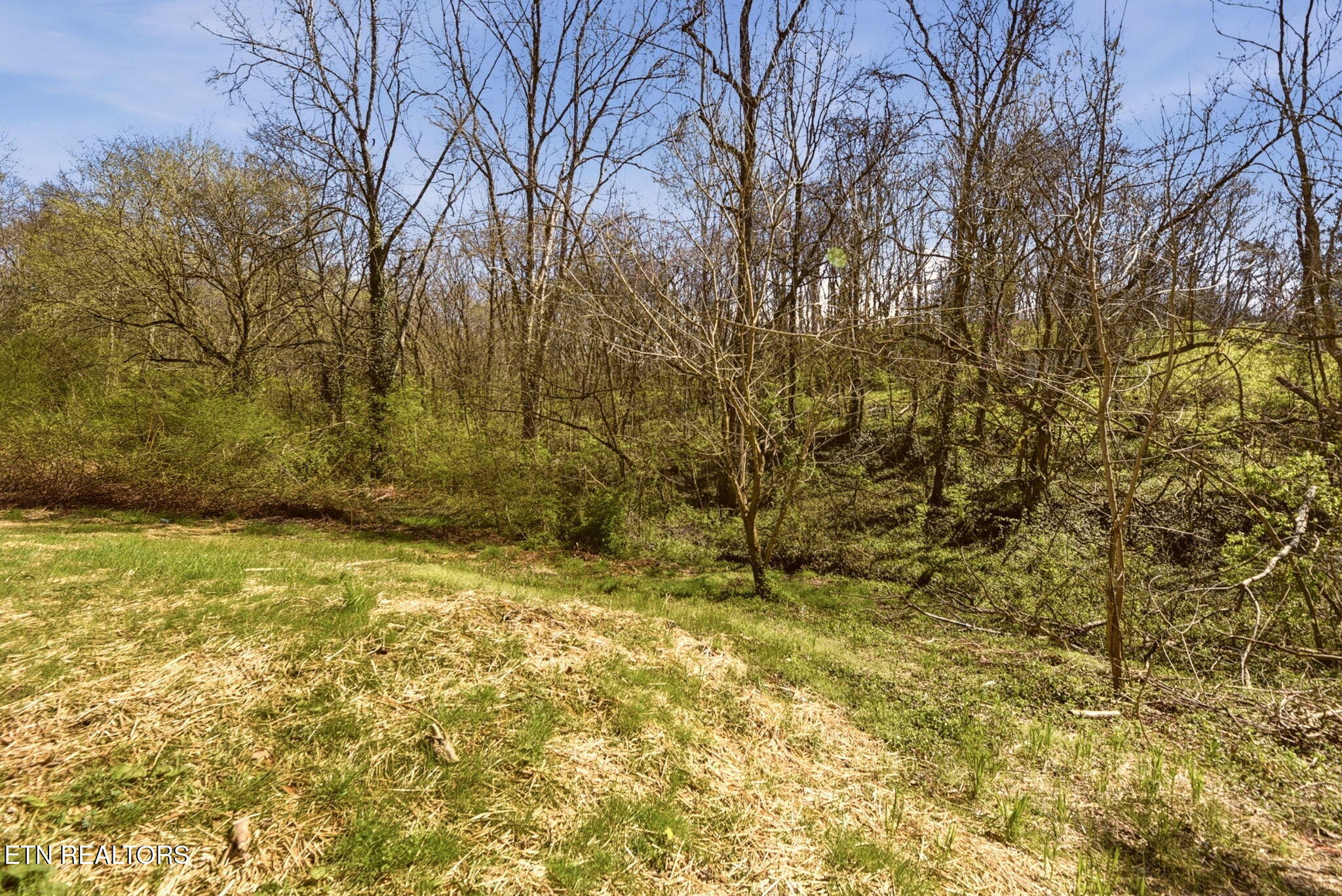 1516 Smallman Road Knoxville, TN 37920 - Photo 33 of 34 34-web-or-mls-Smllmn1516 (17)