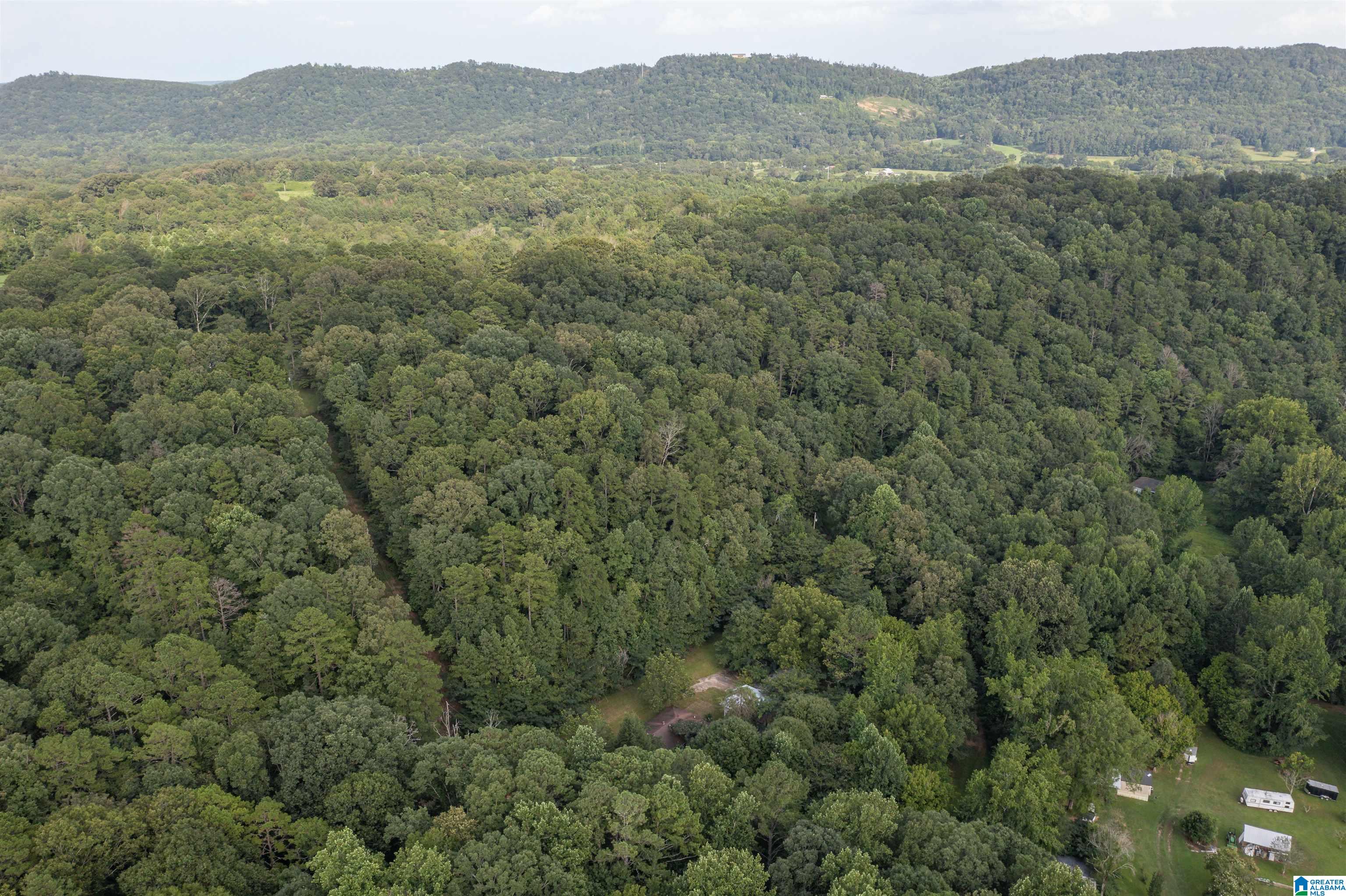 160 Mill Hill Road Attalla, AL 35954 - Photo 1 of 26