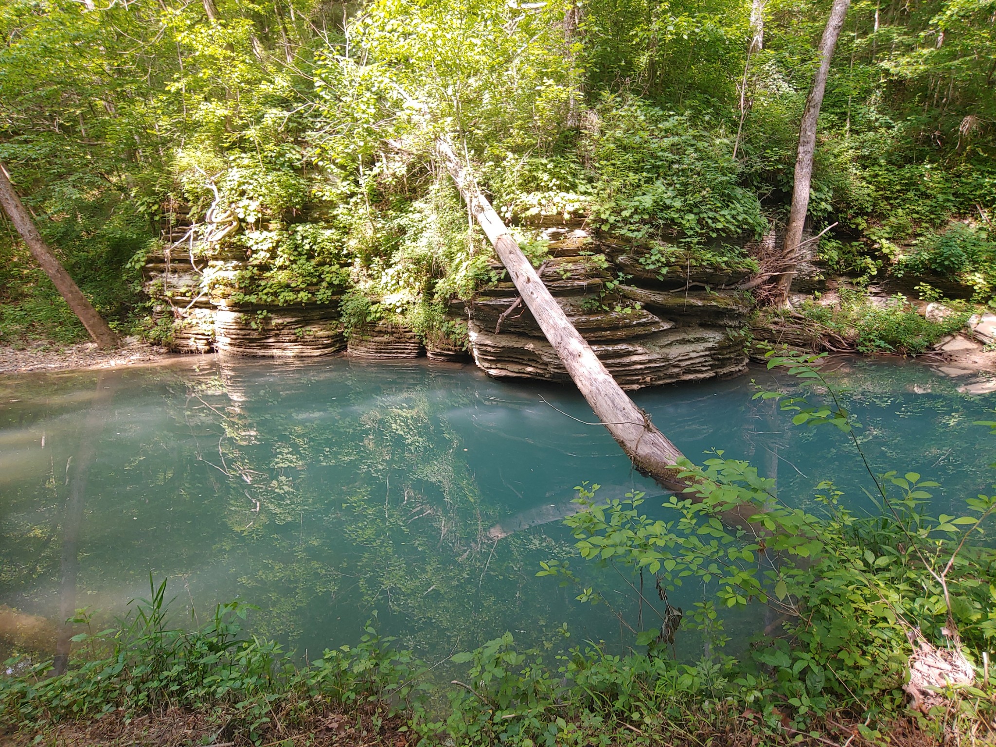 176 Wills Road Hurricane Mills, TN 37078 - Photo 1 of 32 a view of a lake with a yard