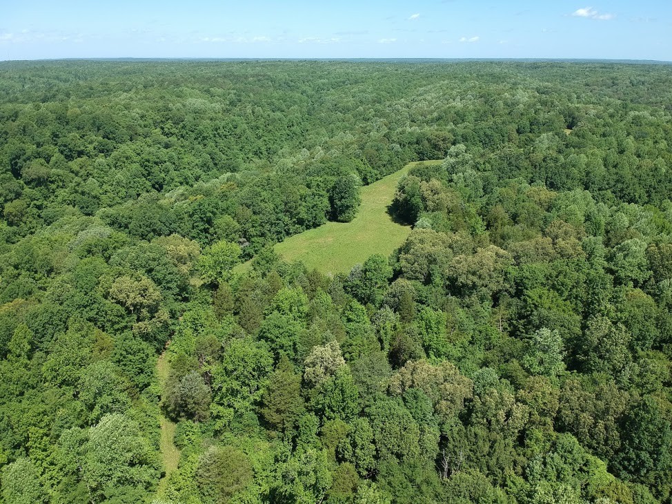 176 Wills Road Hurricane Mills, TN 37078 - Photo 11 of 32 a view of a field of grass and trees