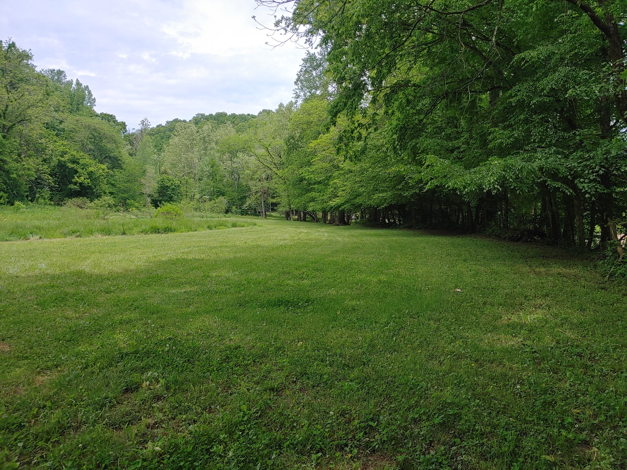 176 Wills Road Hurricane Mills, TN 37078 - Photo 12 of 32 a view of a grassy field with trees in the background