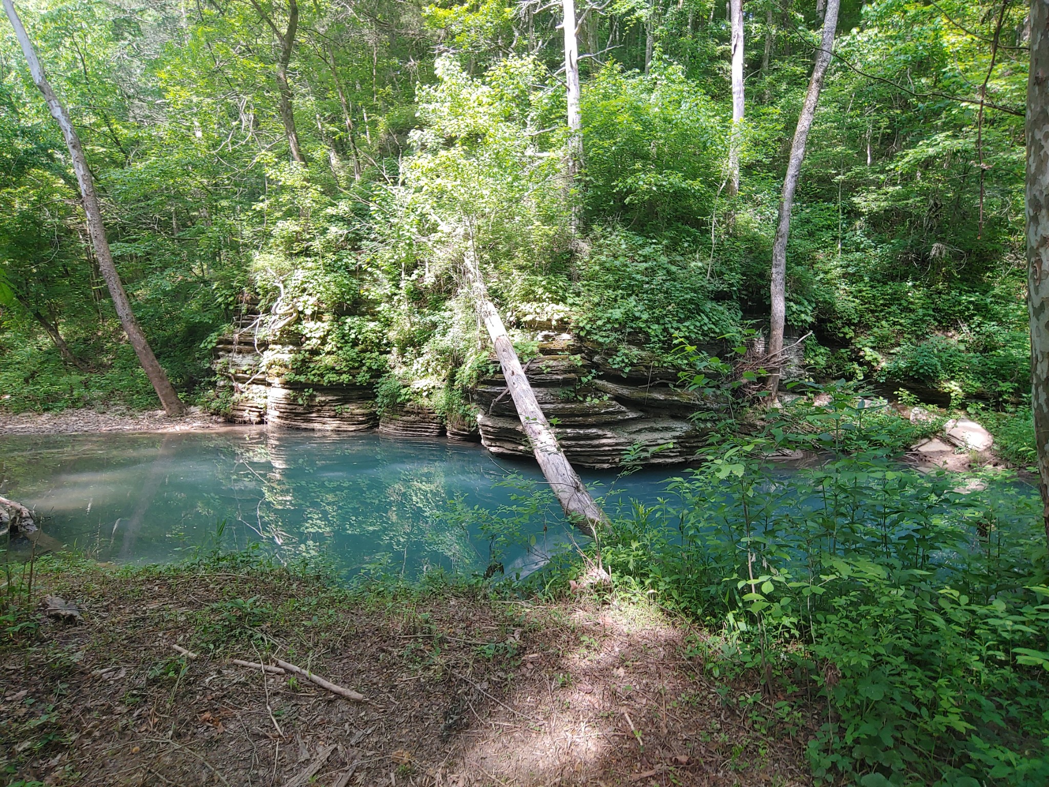 176 Wills Road Hurricane Mills, TN 37078 - Photo 15 of 32 a view of outdoor space