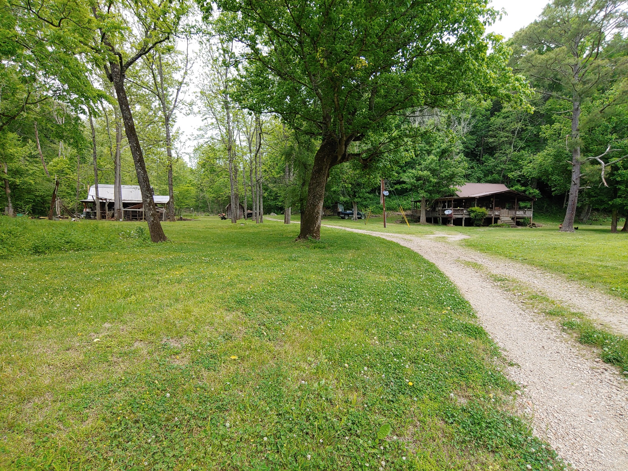 176 Wills Road Hurricane Mills, TN 37078 - Photo 16 of 32 a backyard of a house with table and chairs