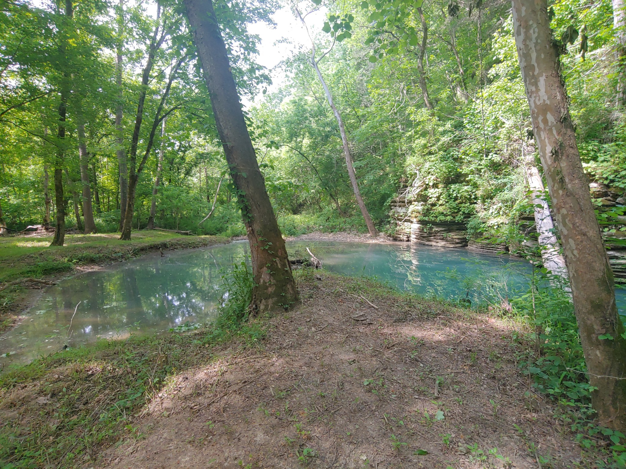 176 Wills Road Hurricane Mills, TN 37078 - Photo 18 of 32 a view of a lake with large trees
