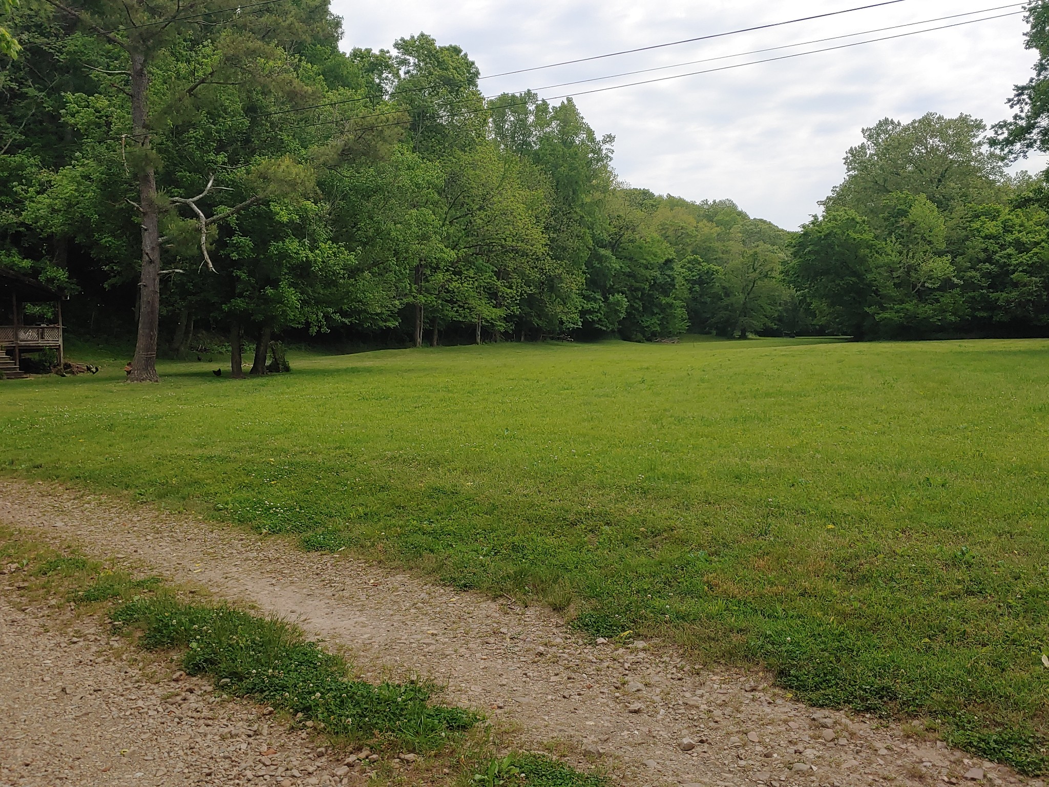 176 Wills Road Hurricane Mills, TN 37078 - Photo 20 of 32 a view of a field with trees in the background