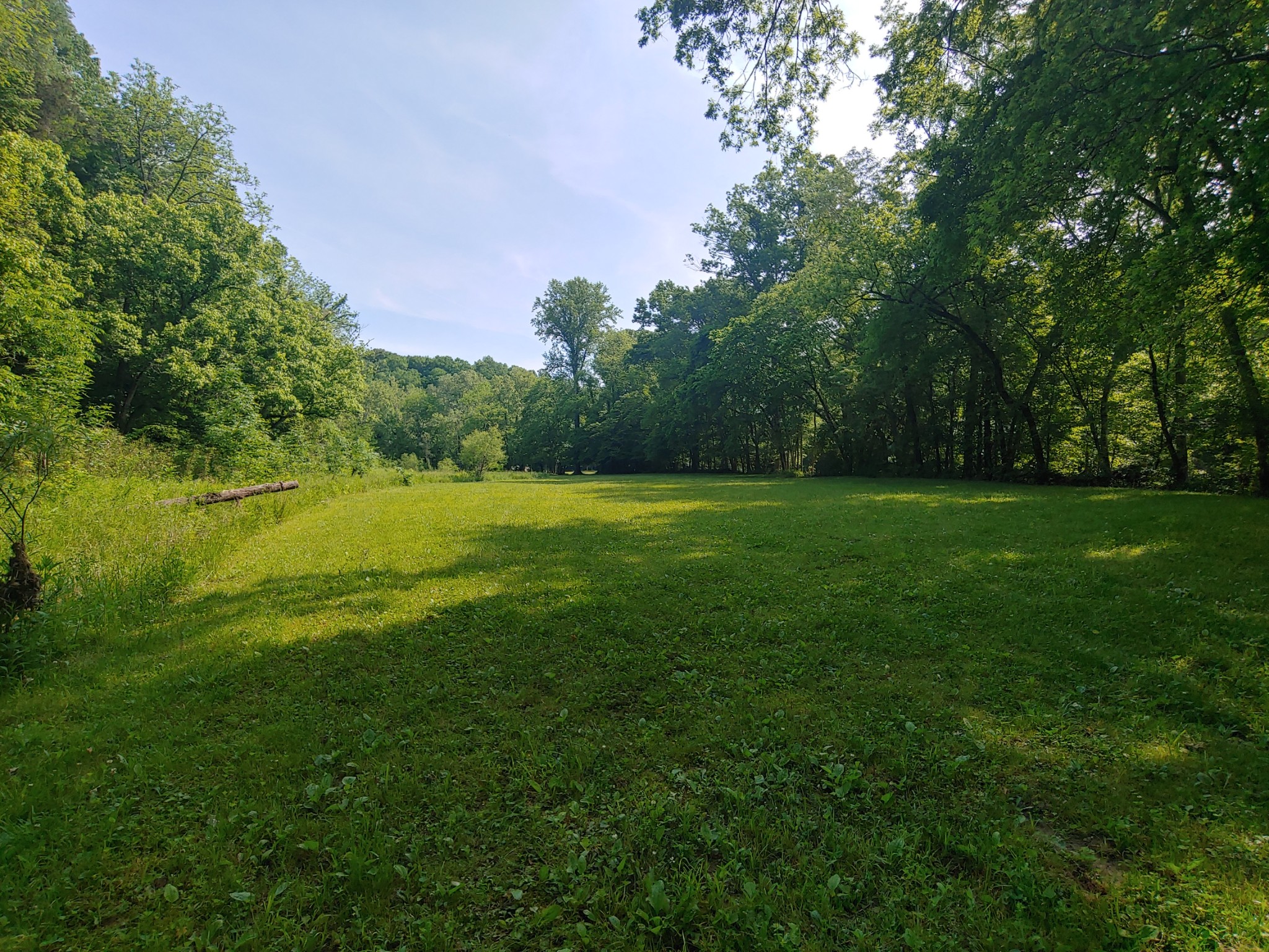 176 Wills Road Hurricane Mills, TN 37078 - Photo 21 of 32 a view of a trees in a yard