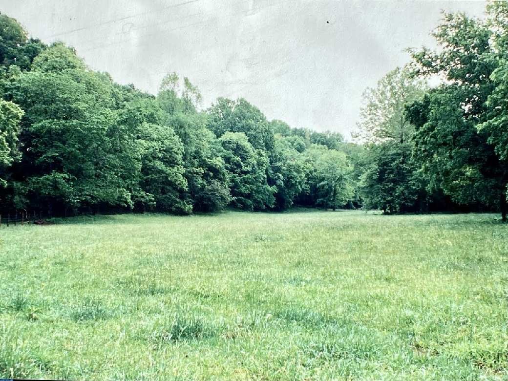 176 Wills Road Hurricane Mills, TN 37078 - Photo 24 of 32 a view of a yard