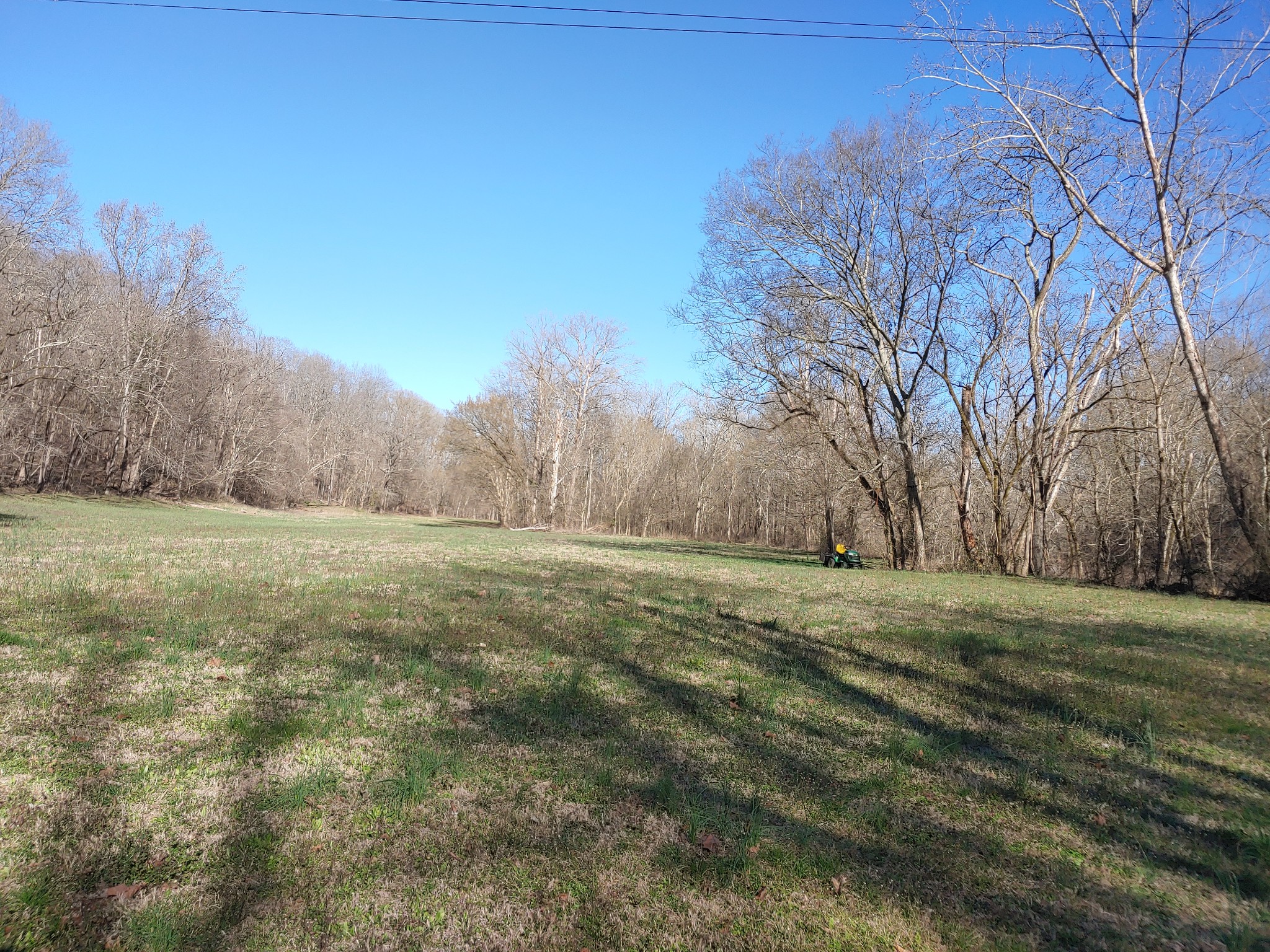 176 Wills Road Hurricane Mills, TN 37078 - Photo 26 of 32 a view of dirt field with large trees