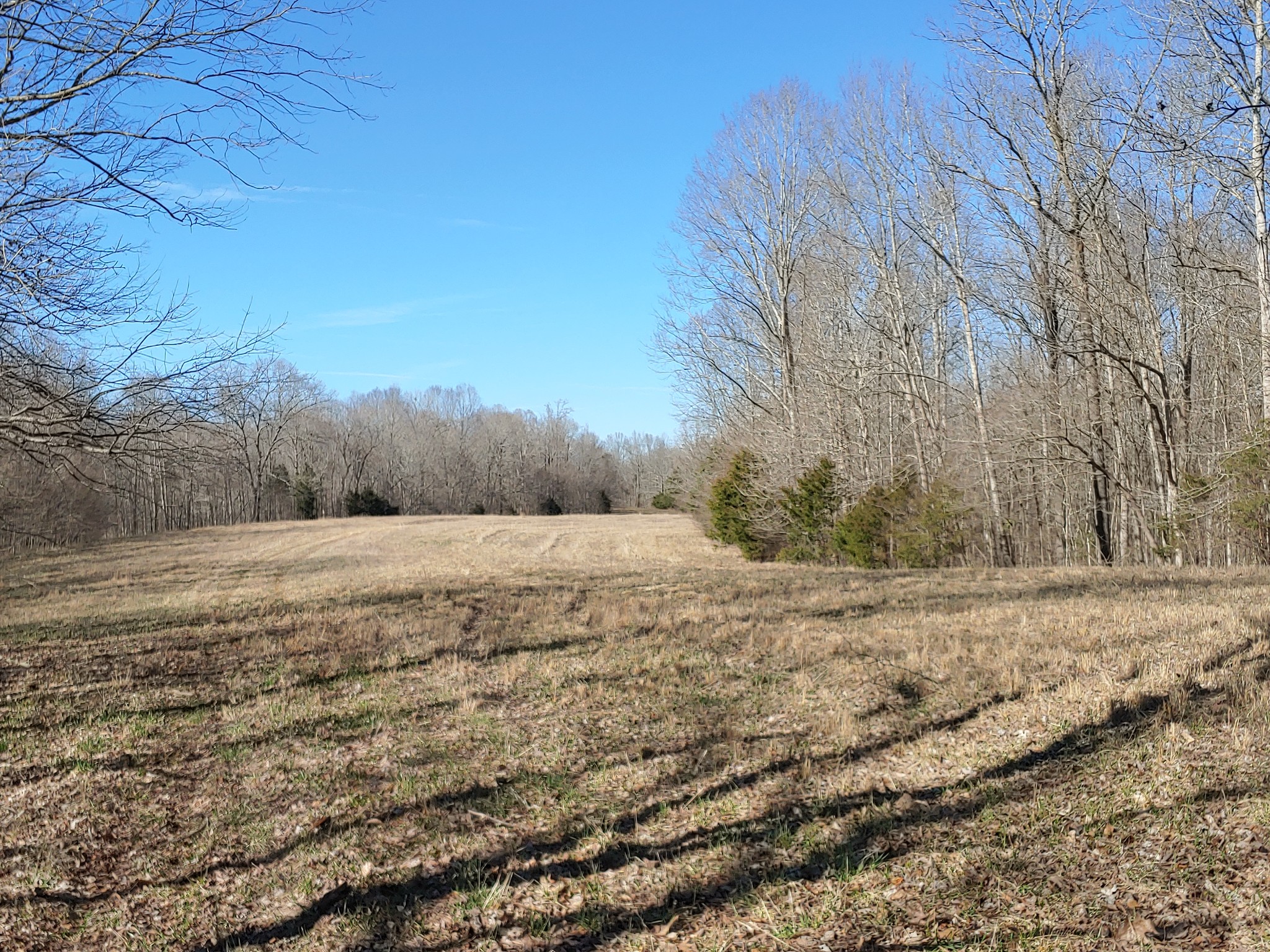 176 Wills Road Hurricane Mills, TN 37078 - Photo 27 of 32 a view of mountain covered with snow