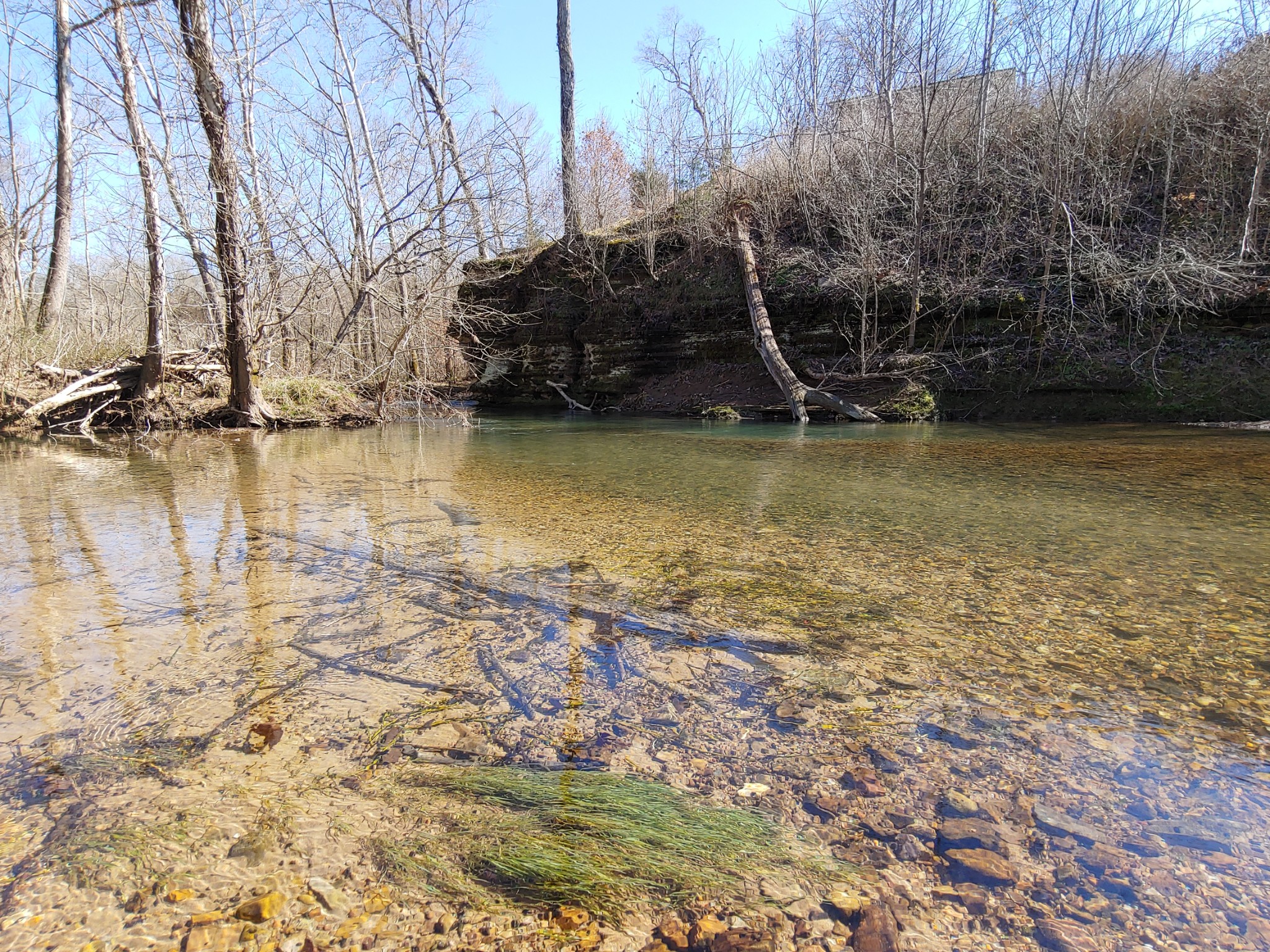 176 Wills Road Hurricane Mills, TN 37078 - Photo 29 of 32 a view of a lake with houses
