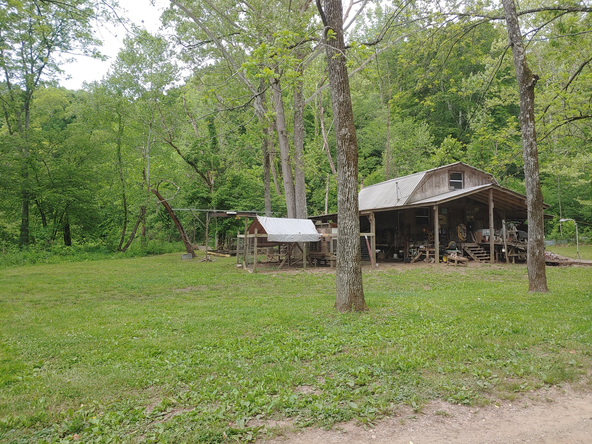176 Wills Road Hurricane Mills, TN 37078 - Photo 4 of 32 a backyard of a house with table and chairs