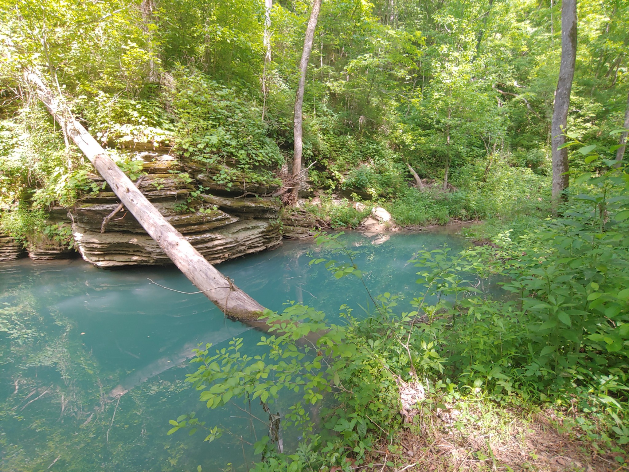 176 Wills Road Hurricane Mills, TN 37078 - Photo 6 of 32