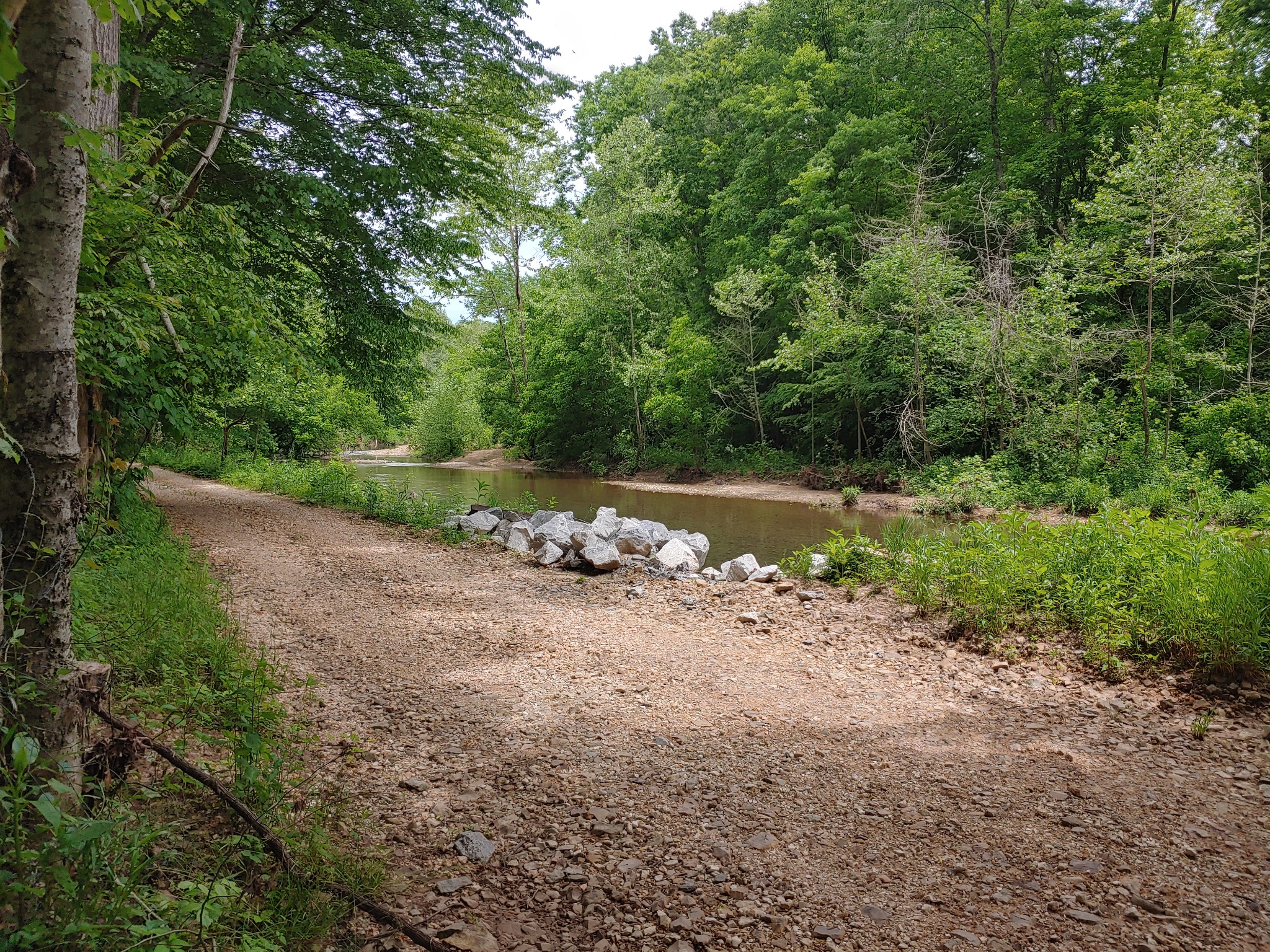 176 Wills Road Hurricane Mills, TN 37078 - Photo 8 of 32 a view of a dirt road with trees in the background