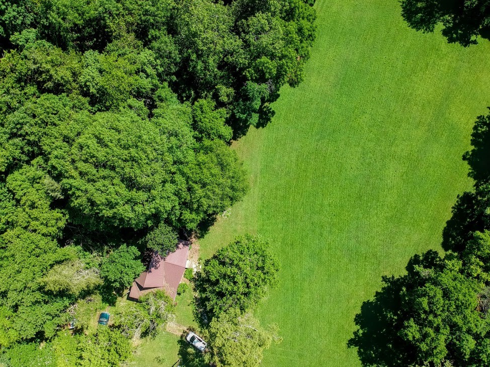 176 Wills Road Hurricane Mills, TN 37078 - Photo 10 of 32 a view of a garden with a plant