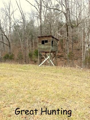 0 Jimmy Thomas Road Collinwood, TN 38450 - Photo 5 of 13 Hunting