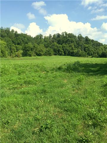 0 Jimmy Thomas Road Collinwood, TN 38450 - Photo 8 of 13 Gallery Image 8