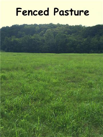 0 Jimmy Thomas Road Collinwood, TN 38450 - Photo 9 of 13 Gallery Image 9