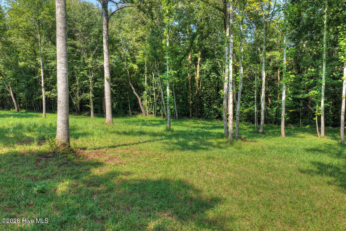 0 Wolfcreek Road Murphy, NC 28906 - Photo 7 of 10 Gallery Image 7