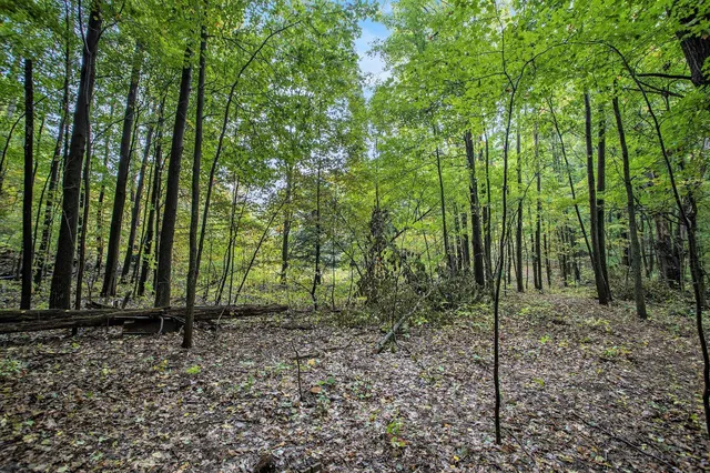 $99,900 | Collier Avenue, Battle Creek, MI 49017