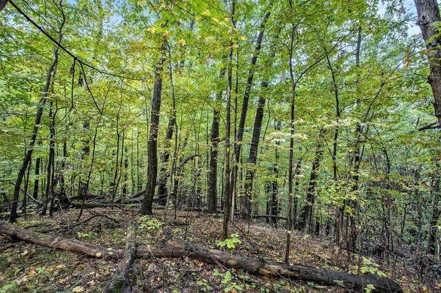 $99,900 | Collier Avenue, Battle Creek, MI 49017