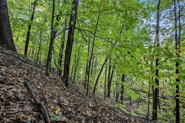 $99,900 | Collier Avenue, Battle Creek, MI 49017