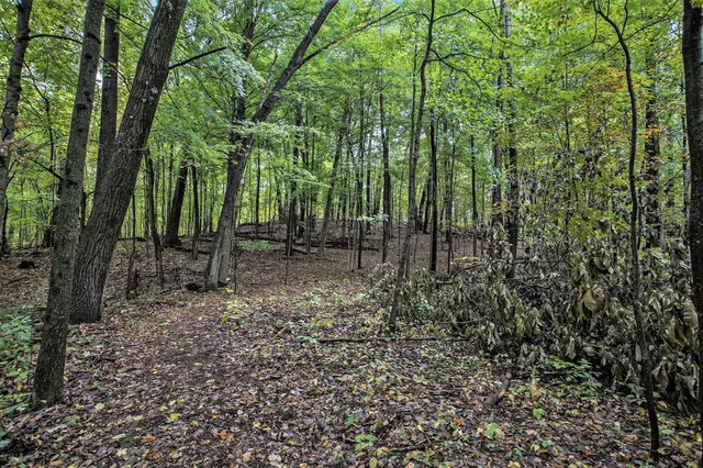 $99,900 | Collier Avenue, Battle Creek, MI 49017