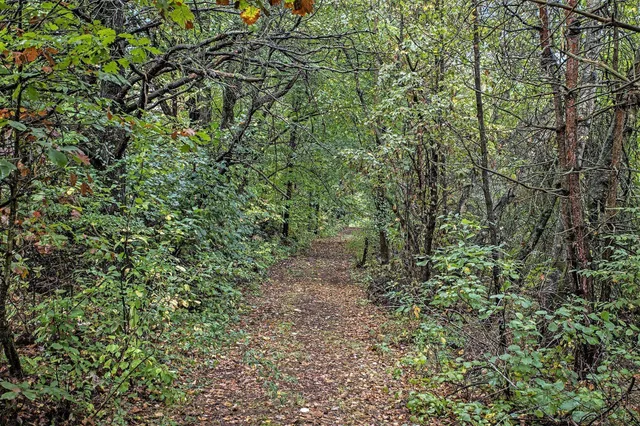 $99,900 | Collier Avenue, Battle Creek, MI 49017