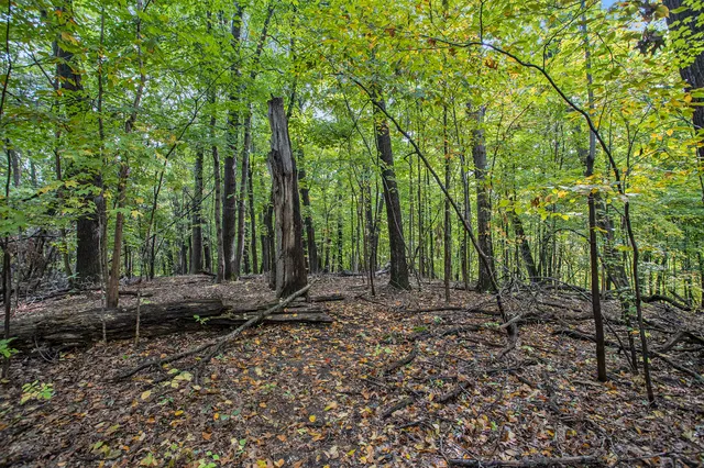 $99,900 | Collier Avenue, Battle Creek, MI 49017