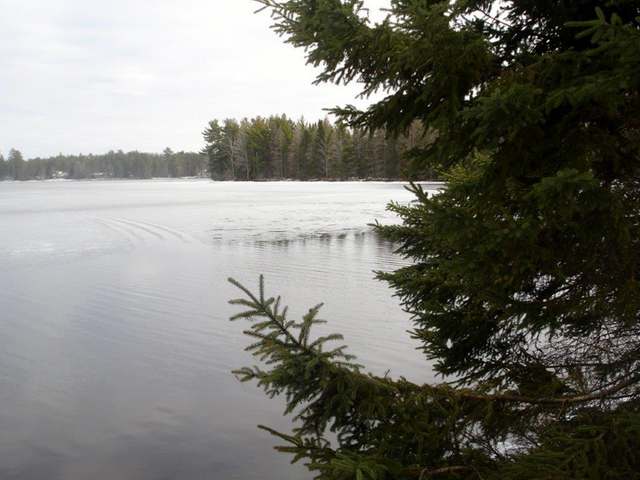 6616 Cw Smith Road Three Lakes, WI 54562 - Photo 4 of 11 Gallery Image 4