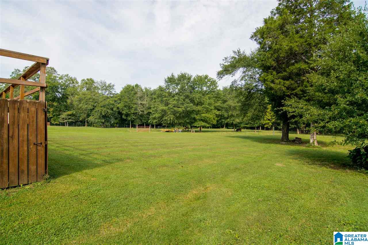 20155 Remlap Drive Remlap, AL 35133 - Photo 31 of 31